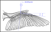 pivot angle of the bending axis from the hand wing