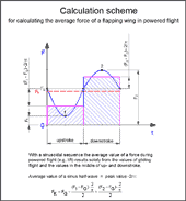 Calculation scheme for sinusoidal force
