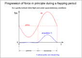 Principle force progression during flapping flight