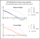 lift distributions for the distance and the cruise flight