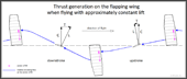 thrust generation on a flapping wing