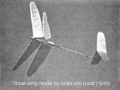 Thrust-Wing model in flight