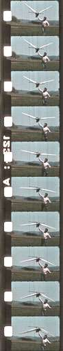 Cutaway of a 8 mm film from EV1