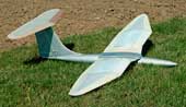 Flapping wing model EV1