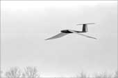 Fly-by of the ornithopter