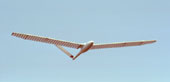 ornithopter tijdens de glijvlucht
