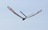 wing twisting in the upper final position