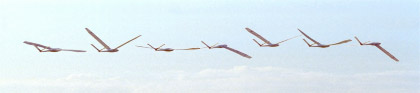 vliegbeelden hoe een ornithopter vliegt