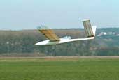 bird model in gliding flight