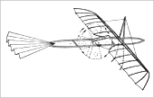 Modell mit oszillierendem Flügel