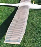 flapping wings of the EV8 
in the position of gliding flight