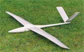 Flapping wing model EV8